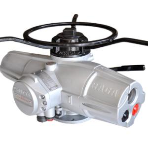 Wenzhou RICH Measure and Control Equipment Co.,Ltd（RAGA)